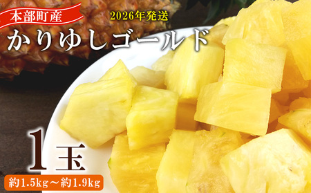 パイン【2026年発送】先行予約 かりゆしゴールド 1玉（約1.5kg～1.9kg） パイナップル
