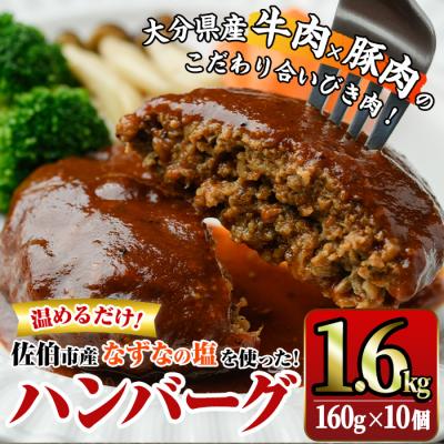 ふるさと納税 佐伯市 佐伯市の「なずなの塩」使用 !大分の恵みハンバーグ (計約1.6kg・160g×10個)
