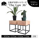 【ふるさと納税】 HITTITE の天板が分厚いシリーズ "The Low 36" フラワースタンド 2台 植物 台 おしゃれ かわいい ヒッタイト