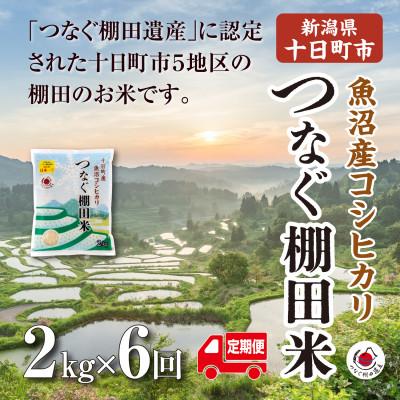 ふるさと納税 十日町市 【毎月定期便】新潟県十日町市魚沼産コシヒカリ「つなぐ棚田米」精米2kg全6回