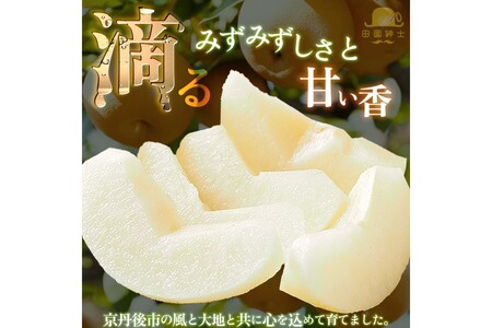 【先行予約】京丹後市産 新興梨と別品種の梨セット約5kg