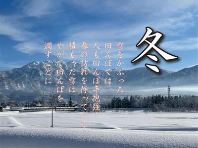 【令和7年産】【定期便 南魚沼産】コシヒカリ 白米10kg×12回【2025年9月中旬より順次発送予定】