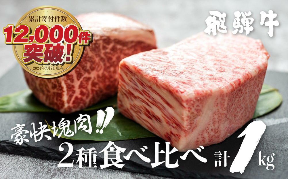 
            飛騨牛 ブロック肉 1kg (霜降り肉 赤身肉 500g×2 ) 訳あり 訳アリ 部位お任せ 不揃い ローストビーフ  牛肉 ブロック セット 真空パック 黒毛和牛 肉　肉厚　大容量  バーベキュー BBQ キャンプ 焼き肉 焼肉 ごちそう JA 30000円 [S090]
          
