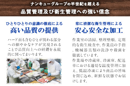 九州産焼き鳥 豚バラ串 20本《30日以内に出荷予定(土日祝除く)》熊本県 葦北郡 津奈木町 ナンキューフーズ株式会社 豚バラ