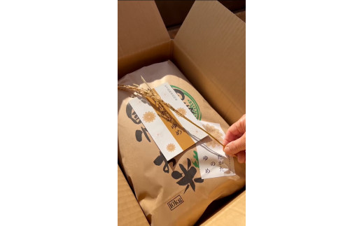 令和7年産 たかたのゆめ 白米 5kg まーちゃんファーム 【 オリジナル ブランド米 冷めてもおいしい お弁当 おにぎり ギフト 】 東北 岩手 陸前高田 RT2592