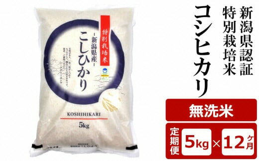 【ふるさと納税】【12ヶ月定期便】新潟県認証特別栽培米 コシヒカリ 無洗米 5kg×12回（計 60kg）アグリーホンマ[Y0371]【 新潟県 柏崎市 】