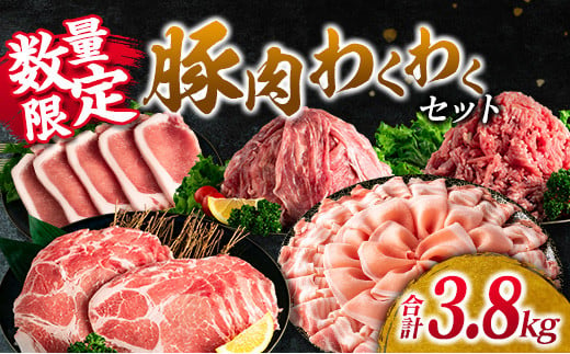 
数量限定 豚肉 わくわく セット 合計3.8kg ポーク 国産 豚ロース とんかつ スライス 豚切り落とし 豚バラ しゃぶしゃぶ ミンチ 挽肉 ハンバーグ すき焼き 弁当 おかず おつまみ 万能食材 真空パック 大容量 詰め合わせ お取り寄せ 宮崎県 日南市 送料無料_CC33-23
