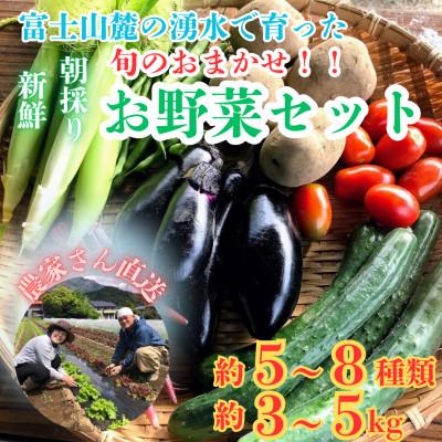 ふるさと納税 西桂町 富士山麓の農家直送!新鮮野菜!農家厳選の旬のお野菜セット約5〜8種類を約3kg〜5kgをお届けします