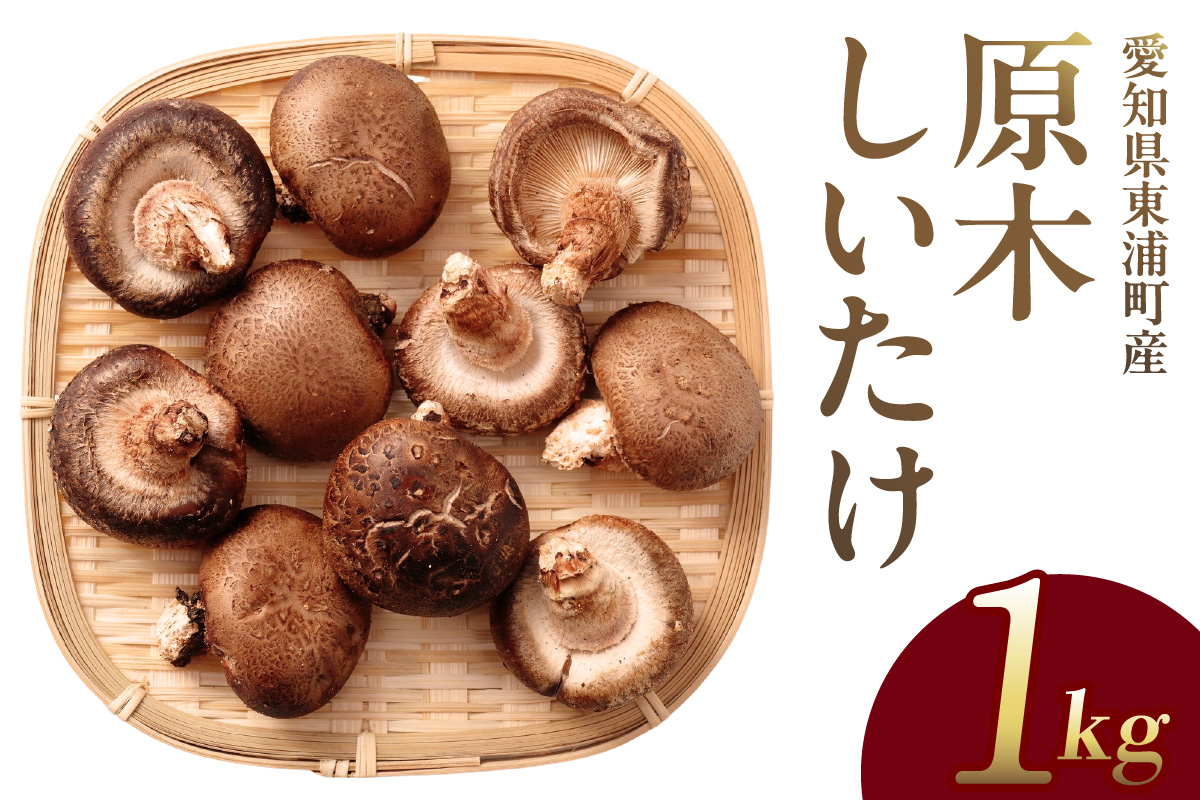 【先行予約：26年10月～発送】東浦町産 原木栽培生しいたけ（約1kg）│椎茸 原木栽培 生 国産 愛知県