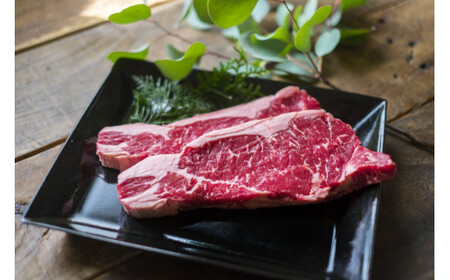 信州プレミアム牛 サーロイン 約500g | お肉 肉 にく 牛肉 ぎゅうにく サーロイン 長野県 塩尻市