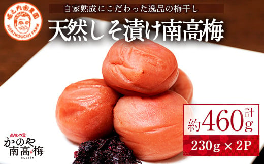 
            2581 【年内配送12月15日入金まで】かのや南高梅　しそ漬け　230g×2箱【梅 うめ 梅干し うめぼし しそ シソ 紫蘇 塩漬け 天然 自家製 小分け 南高梅】
          