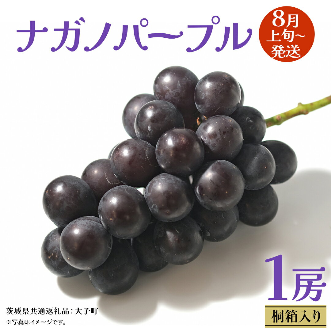 【ふるさと納税】【 桐箱入り 】 ナガノパープル 1房 【2025年8月上旬発送開始】(茨城県共通返礼品：大子町) ぶどう 葡萄 ブドウ 果物 フルーツ 果物 贈答用 ギフト 贈り物