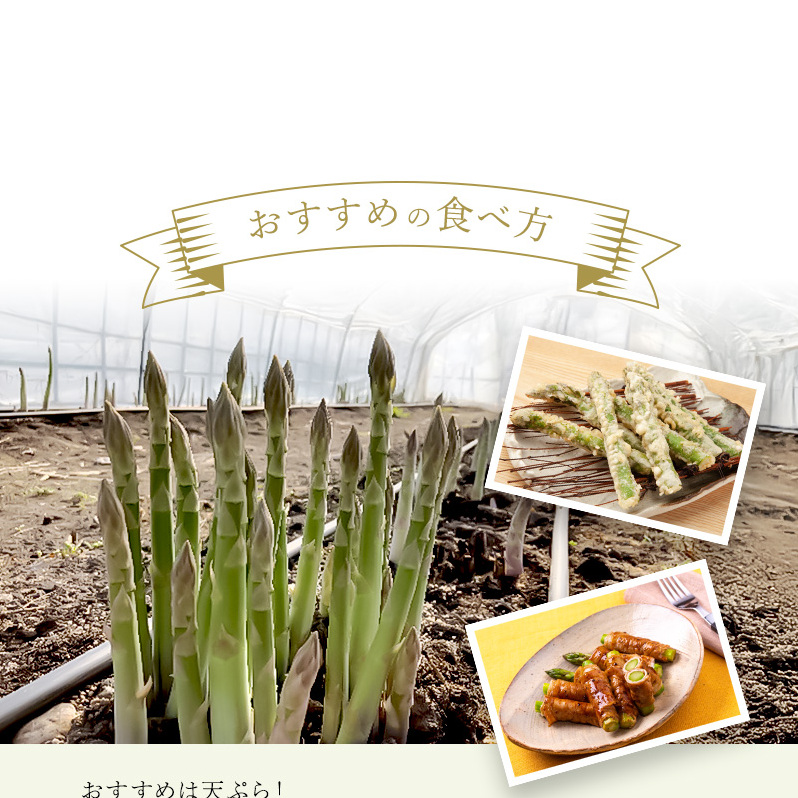 【  2026年 発送 】 先行予約  北海道 上富良野産 グリーン アスパラガス 2L サイズ 400g アスパラ 上富良野町 令和7年 発送 野菜 やさい【オンライン決済限定】_イメージ4
