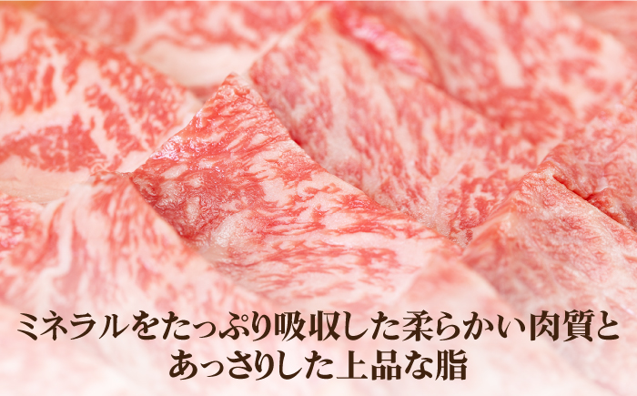 【全2回定期便】 壱岐牛 肩ロース 300g（焼肉用）《壱岐市》【壱岐市農業協同組合】 肉 牛肉 焼肉 BBQ 赤身 [JBO123]