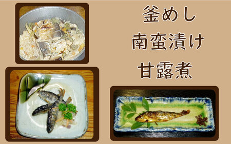 あまご満足膳 御料理コースA 1名様 〈丹波市〉 あまご 川魚料理