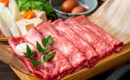 定期便 6ヶ月 牛肉 博多和牛 A4～A5 しゃぶしゃぶ すき焼き セット 700g 6回 配送不可：離島 