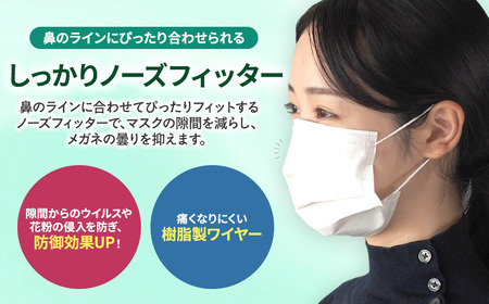 【定期便】シャープ製 抗菌 不織布マスク ふつう 30枚入×6回 国産 マスク