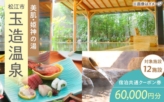 
            玉造温泉共通クーポン券 寄附額20万円 60000円分クーポン 島根県松江市/玉造温泉旅館協同組合 [ALHN003]｜ 宿泊クーポン
          