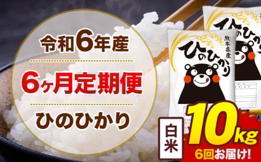 【6ヶ月定期便】令和6年産 白米 10kg 米 ひのひかり《お申込み月の翌月から出荷開始》熊本県 菊池市 国産 熊本県産 白米 精米 無洗米 送料無料 ヒノヒカリ こめ お米 