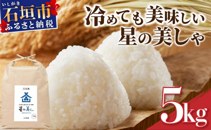 石垣島産 星の美(かい)しゃ 5kg みやぎ米屋【 日本一早い新米の産地 お米 産地直送 旬 沖縄県 石垣市 送料無料 】MK-3