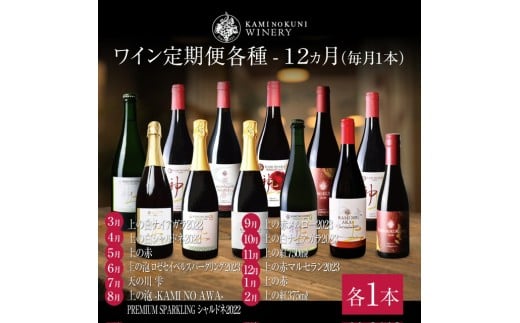 上ノ国ワイナリー「ワイン12ヶ月定期便　各種毎月1本」　北海道ワイン　ワイン　WINE　wine　定期便　赤ワイン　スパークリングワイン　お家パーティ　プレゼント　贈り物　贈答品