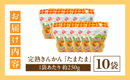 【期間・数量限定】完熟きんかん「たまたま」 10袋セット きんかん 完熟 大粒