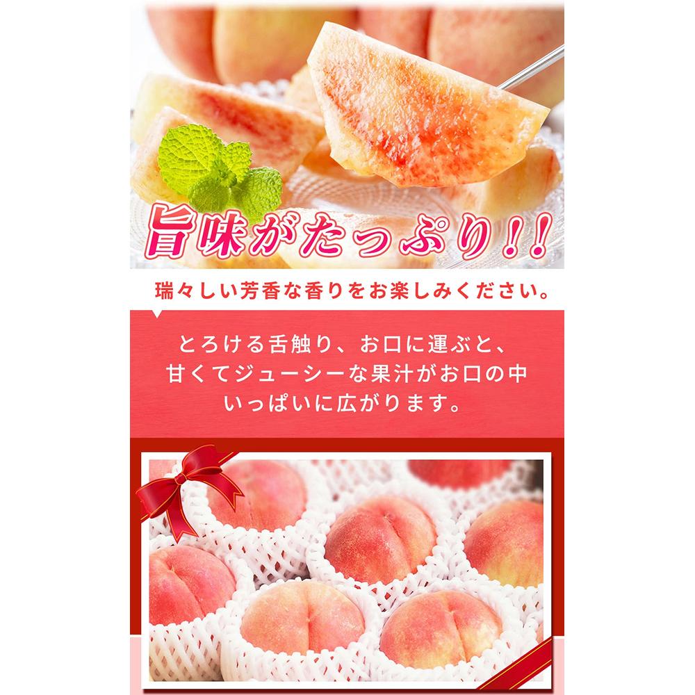 秀品紀州和歌山産の桃約4kg化粧箱入【2025年6月下旬より順次発送】【UT106】