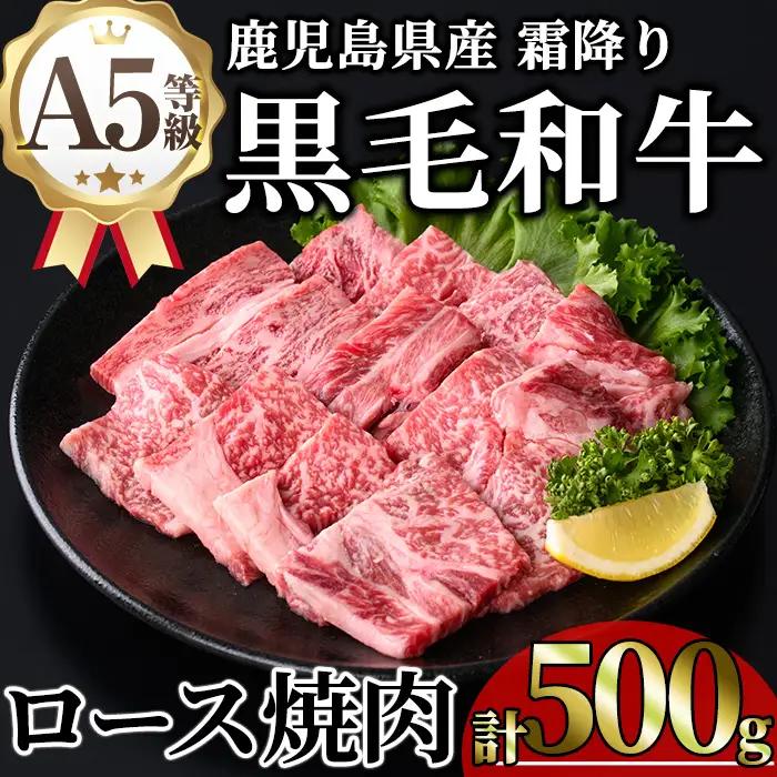 鹿児島県産 A5等級 黒毛和牛 霜降り ロース 焼肉 (計500g・250g×2P) 【KNOT】 A1104