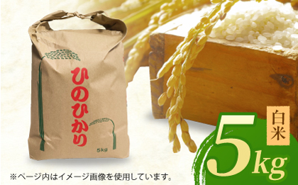 ヒノヒカリ 白米5kg 【角田農園】 [ZEV001]お米 コメ 白米 ごはん ヒノヒカリ 熊本 5kg