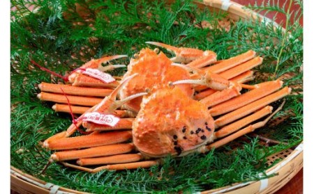 【数量限定】プロが認めるこだわり浜ゆで松葉かに（1㎏～1.2㎏×2）　ずわいがに　蟹　かに