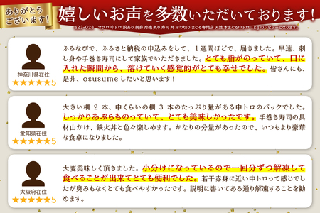 a15-619　マグロ 中トロ 訳あり 刺身 冷凍 炙り 寿司 丼 ぶつ切り まぐろ専門店 天然 本まぐろ中トロ 1kg