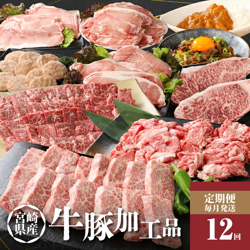【ふるさと納税】【レビューキャンペーン中】12か月定期便 宮崎県産 牛・豚・加工品定期便！ - 宮崎牛ステーキ 黒毛和牛焼き肉 豚肉切り落とし ハンバーグ 黒毛和牛カルビ焼肉 宮崎牛バラ肉すき焼き用A4以上 牛丼のもと オリジナルカレー 12ヶ月 送料無料【宮崎県木城町】
