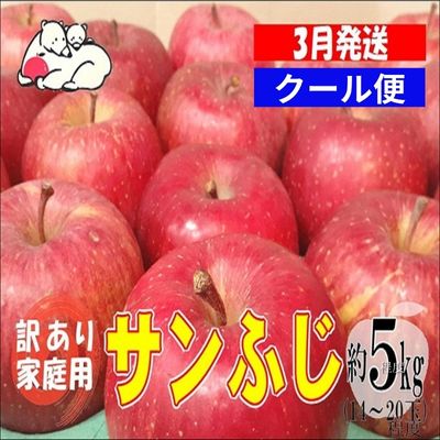 【ふるさと納税】【クール便】3月発送 白熊 訳あり家庭用 サンふじ 約5kg 糖度13度【弘前市産 青森りんご 果物 フルーツ 食後 デザート シャキシャキ ジューシー りんごの王様 】　お届け：2026年3月1日～2026年3月31日