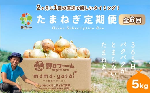 【全６回・２ヶ月に１回定期便】mama-yasai たまねぎ５kg