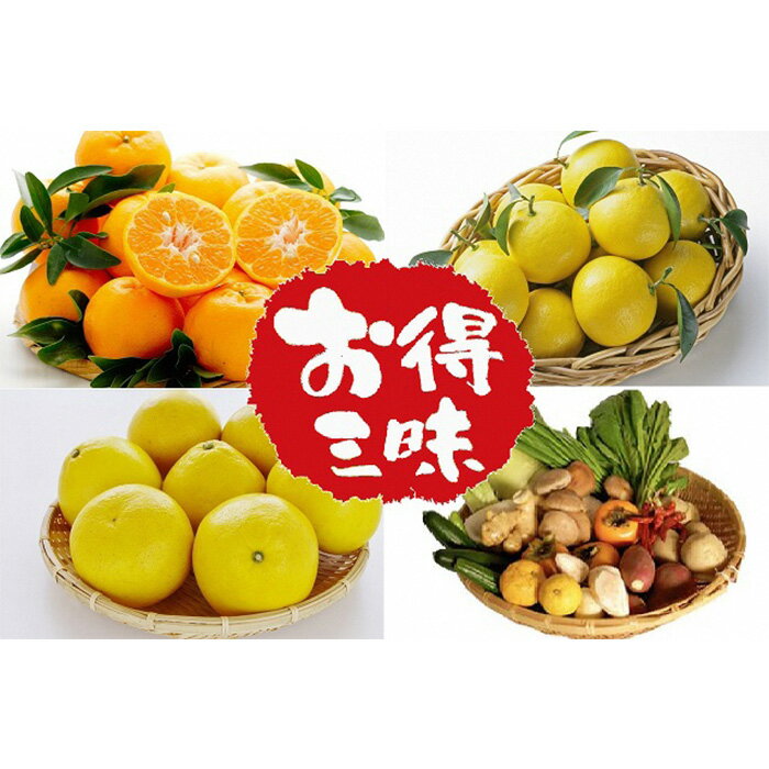 【ふるさと納税】 全 3回 定期便 お試しサイズ 柑橘三昧 ( ポンカン 文旦 小夏 ) 野菜 セット付き 南国高知からの贈り物 季節 旬 柑橘 果物 フルーツ 蜜柑 みかん 高知県須崎市人気 ランキング 食品 お楽しみ バラエティ おすすめ 3ヶ月