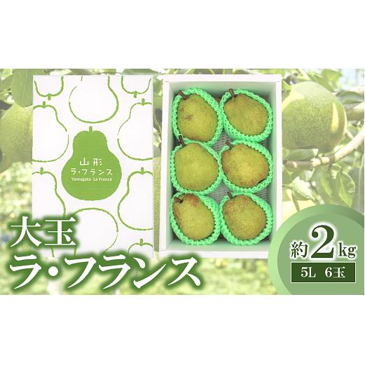 【令和6年産先行予約】 大玉 ラ・フランス 約2kg (6玉 特秀 5L) 《令和6年11月頃～発送》 『生産者 鈴木 喜代美』 ラフランス 西洋梨 洋なし 果物 山形県 南陽市 [2273]