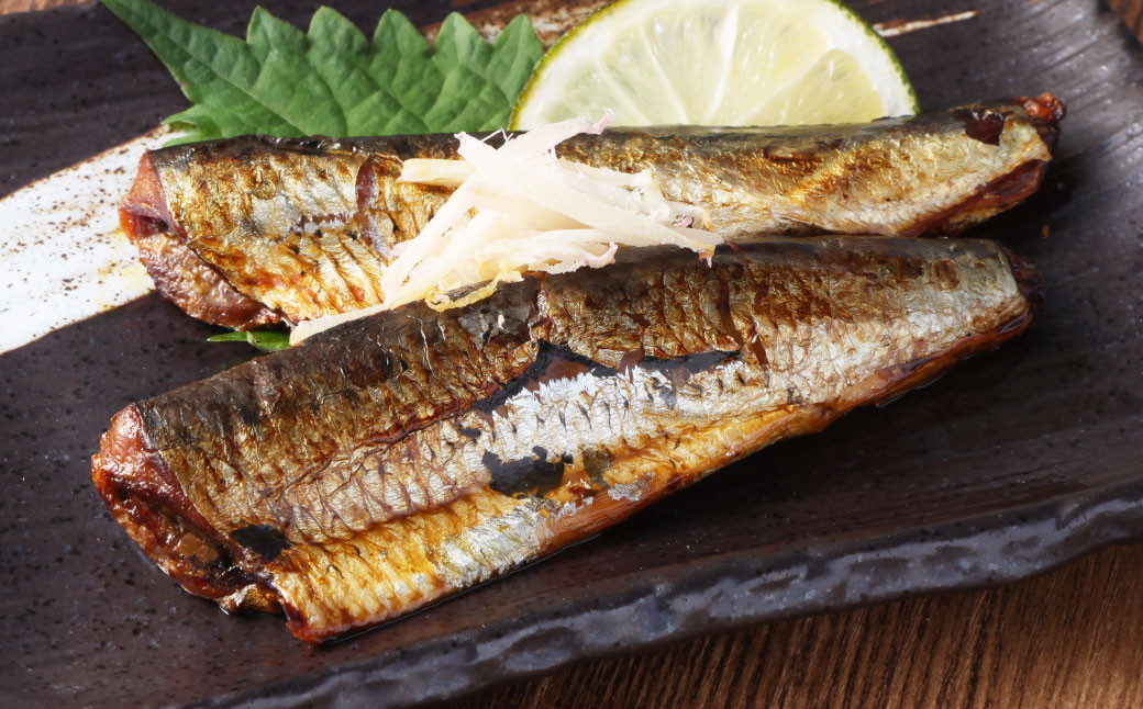 あじ 塩焼き 約30g × 19パック （ 38食 ） 計570g 