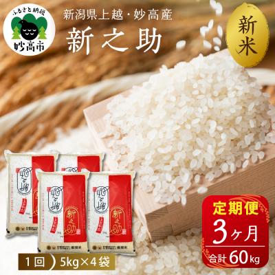 ふるさと納税 妙高市 【2025年11月下旬発送】【定期便】令和7年産新潟県上越・妙高産新之助20kg×3回(計60kg)