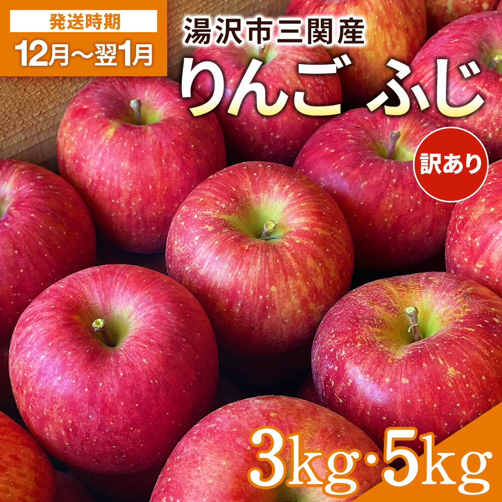 【ふるさと納税】湯沢市三関産りんご（ふじ）3kg 5kg 家庭用 訳あり ふるさと納税 旬 果物 フルーツ ジューシー 甘い 秋田県【藤山果樹園】[K2801]