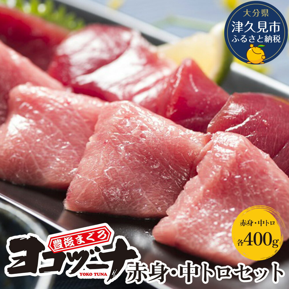 【ふるさと納税】豊後まぐろ ヨコヅーナ 赤身400g 中トロ400g 　本鮪 本マグロ 海鮮丼 刺し身 盛り合わせ 冷凍 魚の刺身 大分県産 九州産 津久見市 国産 送料無料