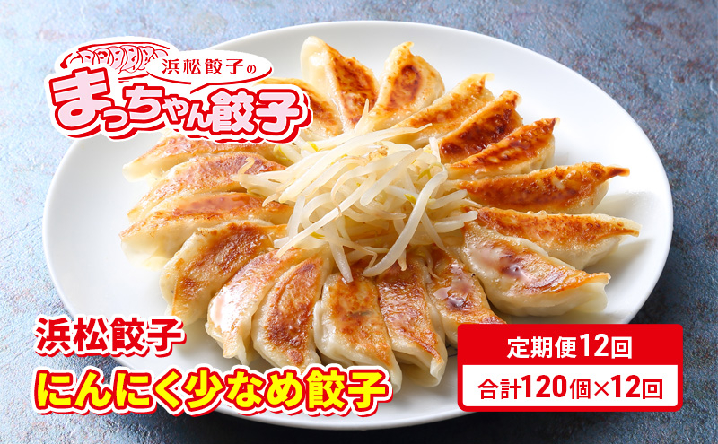 
【定期便12回】浜松餃子のまっちゃん餃子にんにく少なめ餃子40ヶ入り×3袋　計120ヶセット【配送不可：沖縄県・離島】 [№5786-5568]
