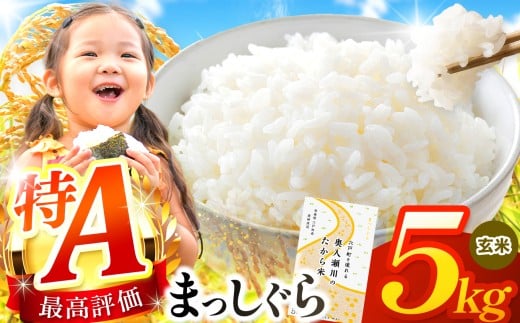 まっしぐら 玄米5kg | 米 おこめ お米 こめ コメ ごはん ご飯 玄米 ゴハン げんまい 特産 ブランド米 ライス 2025年産 令和7年度産 仕送り 国産 産地直送 定期 あっさり さっぱり 青森の旨い米グランプリ 最優秀賞 獲得 水稲 宝精米所 青森県 六戸町