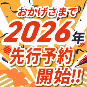 【先行予約】苺 栃木県共通返礼品 JAうつのみや直送！ とちあいか 260g×4パック | 2026年1月～発送いちご 甘い 美味しい 果物 フルーツ デザート 栃木県 下野市 送料無料