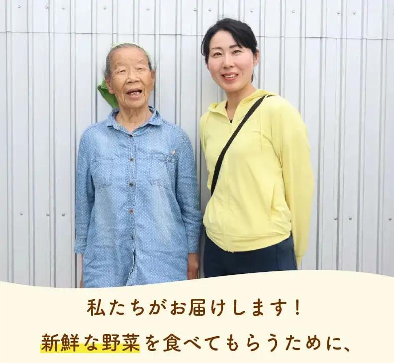 【朝採れ】定期便 3か月 野菜セット 6~7品目 以上 お野菜 季節 丸新柴本製茶 静岡 県 牧之原市
