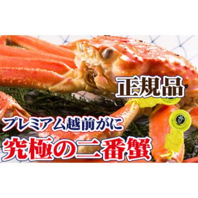 ふるさと納税 越前町 桐箱入り!二番蟹　上質のプレミアム越前がに × 1杯 ≪生≫【12・1月発送分】 | 