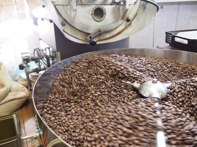 【毎月 定期便 全3回】緑の館 レギュラー50杯分（5杯入り×10P）×3回分 毎月発送 コーヒー レギュラーブレンド 自家焙煎珈琲店 ドリップ 下呂温泉【17-B】