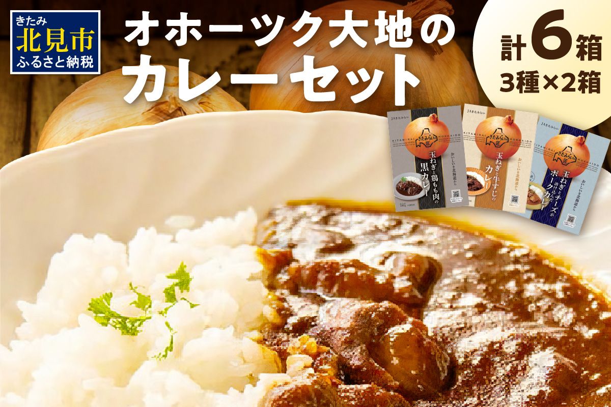 オホーツク生まれの絶品カレー！オホーツク大地のカレーセット ( レトルト 加工品 カレー セット 詰め合わせ )【005-0042】
