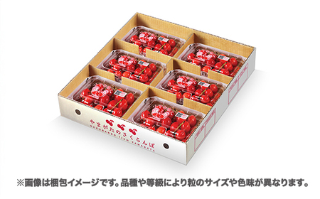 さくらんぼ 佐藤錦 1080g(180g×6) L以上 秀品 sb-snslx1200