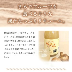 SZ0147　酒田の酒屋厳選　子宝リキュール 番外編ドライジンジャー　720ml×1本