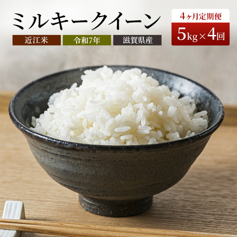 【ふるさと納税】米 定期便 4ヶ月連続 近江米 ミルキークイーン 5kg 令和6年 お米 こめ コメ おこめ 白米 4回 お楽しみ 　お届け：2025年10月初旬より順次出荷